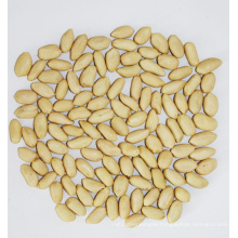 New Crop Blanched Peanut Kernel (25/29, 29/33, 35/39, 41/51, 51/61)